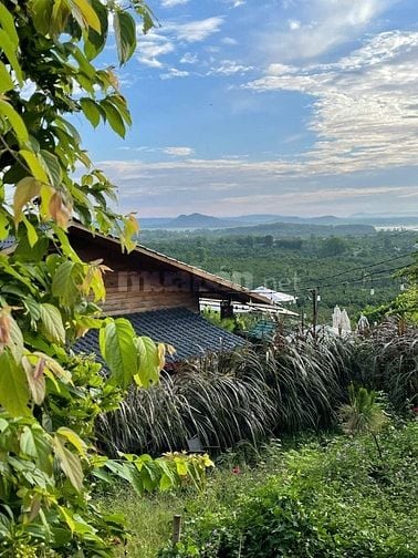 Sở hữu ngay đất đẹp gần Hồ Trị An – Giá chỉ từ 733 triệu