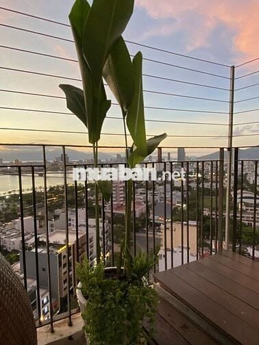 Căn hộ Monarchy Đà Nẵng – Tòa A | 2 Phòng Ngủ | ĐÃ CÓ SỔ