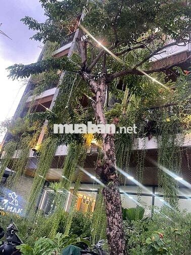 ✨ Căn Hộ Studio Cao Cấp Cho Thuê – Có Hồ Bơi & Nhiều Mảng Xanh ✨