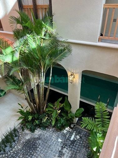 Chào bán toà Boutique 4 tầng- 2 mặt tiền sát biển. Đà Nẵng - dòng tiền