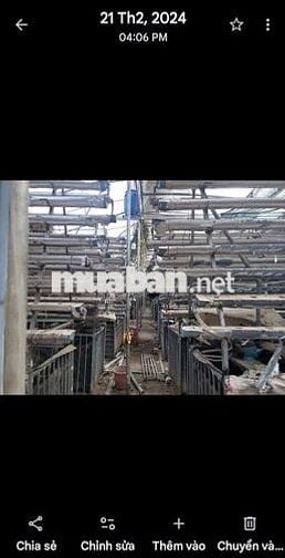 Bán mặt tiền đường bàu lách cách TL15 100m