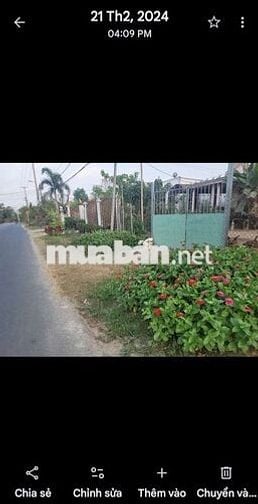 Bán mặt tiền đường bàu lách cách TL15 100m