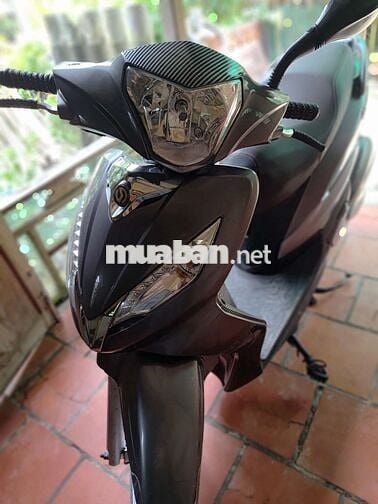 Thanh lí Shark 170cc