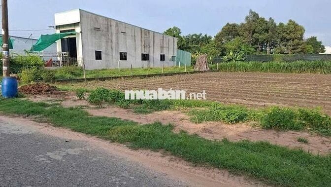 Đất ngộp ngân Tân Thông Hội 130m2 cách QL22 chỉ 450m. Giá 560 triệu