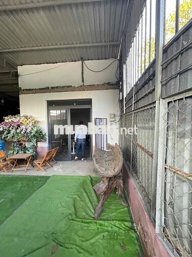 mbkd huỳnh thị hai tch 10*14 cho thuê 14tr/tháng