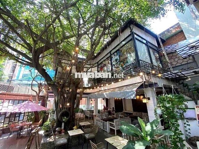 2 mặt tiền Nhà Biệt thự Sân vườn Bành Văn Trân, TB (13x25m, lầu, ST)