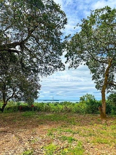 MỘT MẢNH ĐẤT MỚI TOANH GIÁP SUỐI - VIEW HỒ TRỊ AN - SẴN NHÀ CONTAINER 