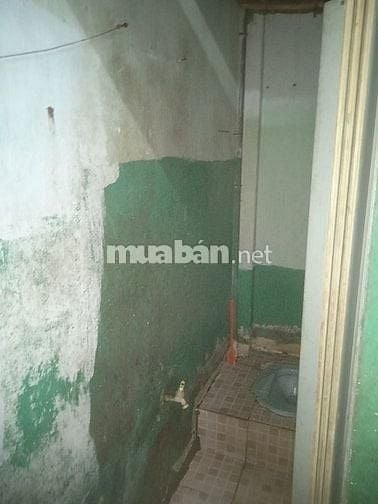 Cần tìm người ở ghép chung cho vui.