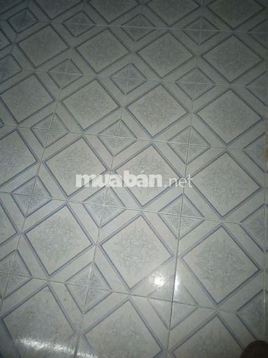 Cần tìm người ở ghép chung cho vui.