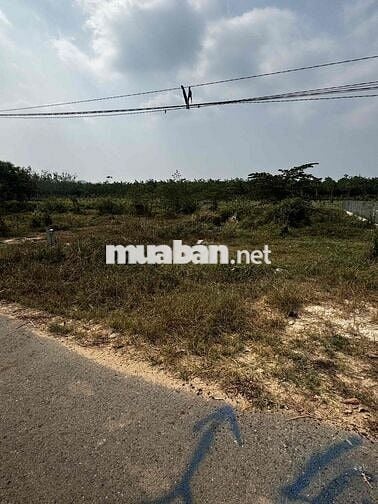 📍 BÁN ĐẤT ĐỊNH AN – DẦU TIẾNG Tìm chủ mới cho miếng đất cực đẹp, vị tr