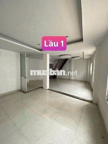 Cho Thuê Nhà Đường Cách Mạng Tháng 8, Tân Bình ( Ngang 8m - Rộng Rãi )