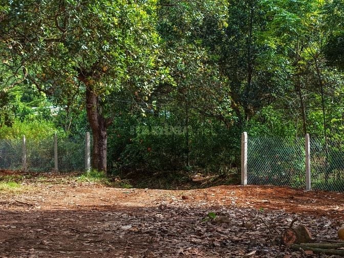 MỘT MẢNH ĐẤT MỚI TOANH GIÁP SUỐI - VIEW HỒ TRỊ AN - SẴN NHÀ CONTAINER 