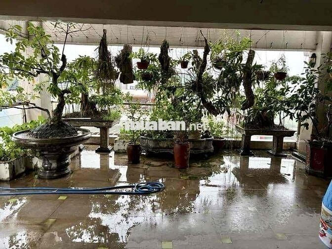 BÁN NHÀ 110m2 6 TẦNG MẶT TIỀN 7M PHỐ HOÀNG NHƯ TIẾP 31 TỶ CÓ THƯƠNG LƯ