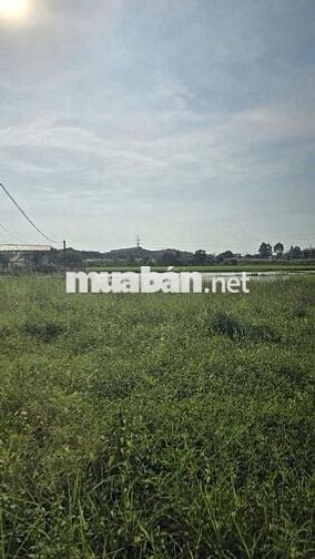 BÁN LỘ ĐẤT ĐẸP VỊ TRÍ TRUNG TÂM BẾN LÚC - VỊ TRÍ ĐẸP, PHÁP LÝ RỎ RÀNG