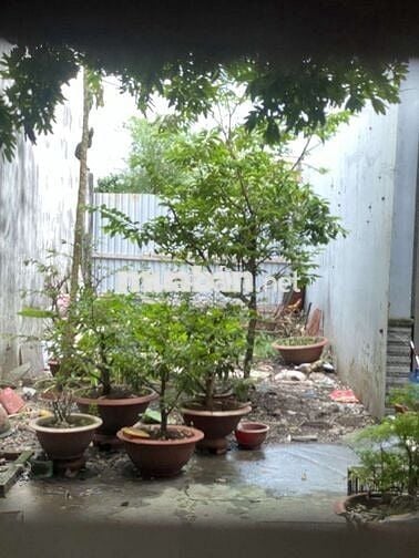 🔥 ĐẤT FULL THỔ CƯ–AN LẠC ✨ 68m² (4❌17) GẦN VÕ VĂN KIỆT - HXH THÔNG