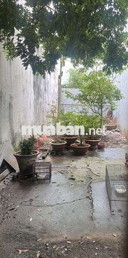 🔥 ĐẤT FULL THỔ CƯ–AN LẠC ✨ 68m² (4❌17) GẦN VÕ VĂN KIỆT - HXH THÔNG