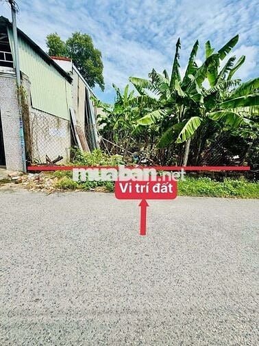 Bán đất khu 8 phú hoà  TDM Bình Dương cũ 
  ( Phú lợi TP HCM )
💥