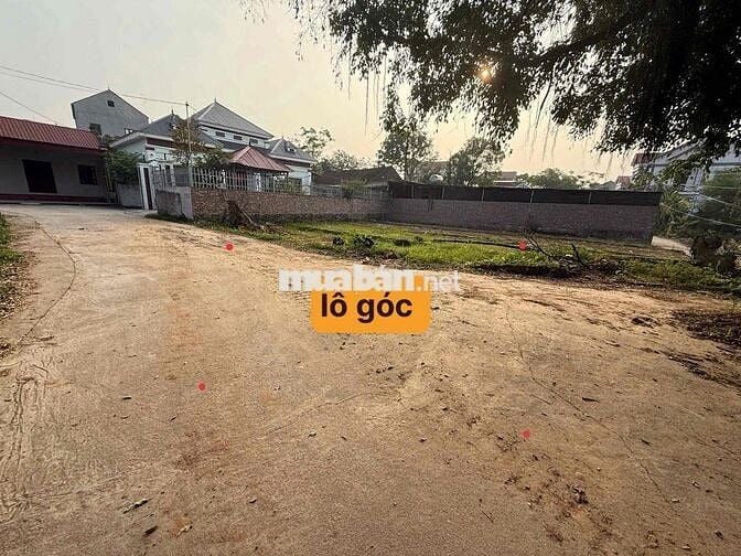 Bán đất lô góc 90m2 ở Ngọ Phúc Châu Minh Hiệp Hoà Bắc Giang