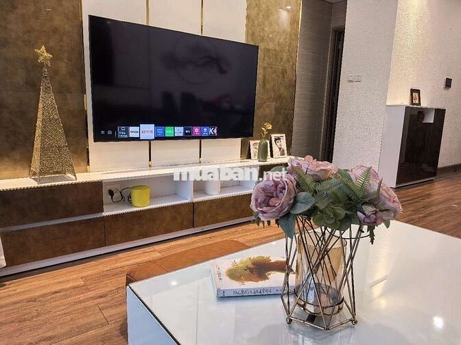 Cho thuê căn hộ chung cư S203 2N1VS Vinhomes Smartcity Tây Mỗ.