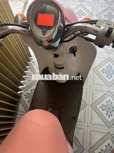 Bán Scoopy 50cc Nội Địa Nhật