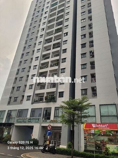 🧥Cho thuê sophosk chung cư STL Mặt tiền kinh doanh