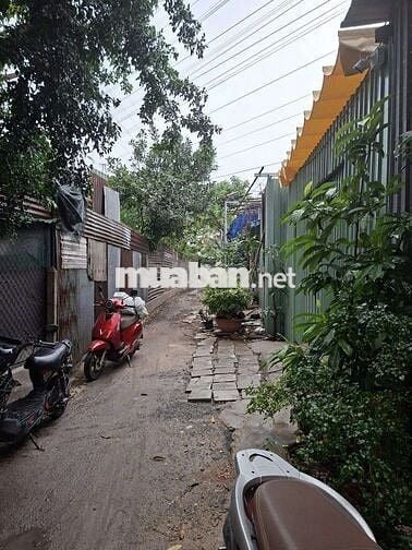 📢 CHO THUÊ NHÀ XƯỞNG GIÁ RẺ – TÂN THỚI HIỆP, QUẬN 12 📦