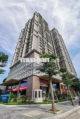 Bán gấp căn Tòa Skypark số 3 Tôn Thất Thuyết. DT 138m gồm 3pn, 2wc.