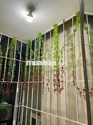 Căn Hộ 55m 2 Ngủ Giá Rẻ Tại Ngã Tư Sở - Thanh Xuân.