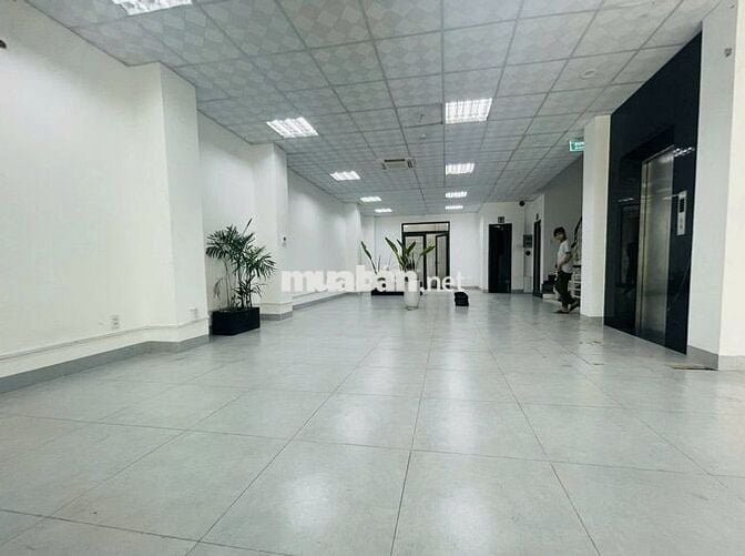 TÒA NHÀ ĐƯỜNG HOA LAN DIỆN TÍCH: 8X18M HẦM TRỆT 4 LẦU CHO THUÊ