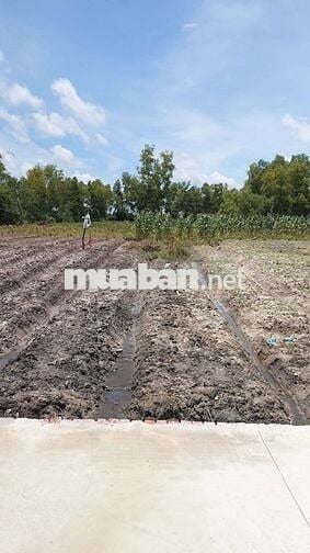 Bán nền giá rẻ 8x33m giá 400 triệu, trung tâm TT Óc Eo