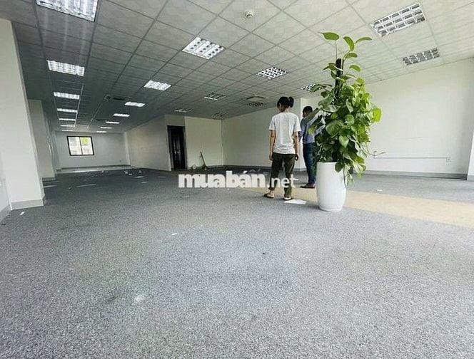 TÒA NHÀ ĐƯỜNG HOA LAN DIỆN TÍCH: 8X18M HẦM TRỆT 4 LẦU CHO THUÊ