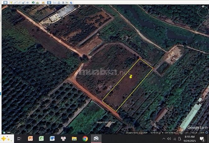 Chính chủ cần bán thửa đất tại phường Phú an, TPHCM