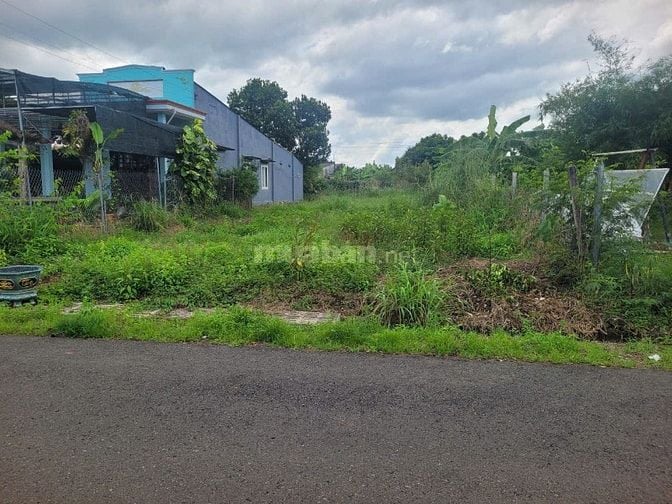 CÔNG TY ĐẤU GIÁ HỢP DANH MINH PHÁP THÔNG BÁO ĐẤU GIÁ TÀI SẢN