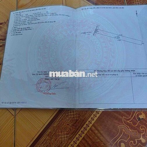 ĐẤT THO GIÁ RẺ VÀNH ĐAI LỢI BINH NHON