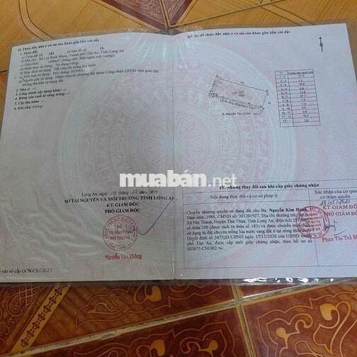 ĐẤT THO GIÁ RẺ VÀNH ĐAI LỢI BINH NHON