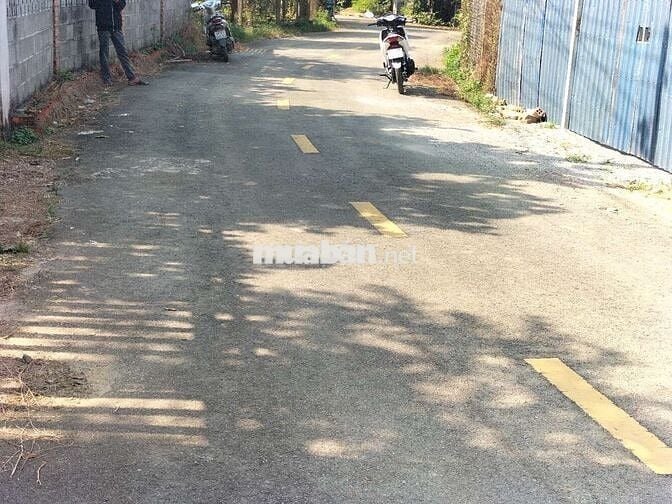 Loaloa rẻ nhất bạch đằng 3,6t/m2 có tới 30m mặt tiền nhựa lớn nhanh ạ