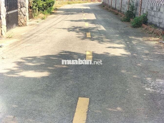 Loaloa rẻ nhất bạch đằng 3,6t/m2 có tới 30m mặt tiền nhựa lớn nhanh ạ