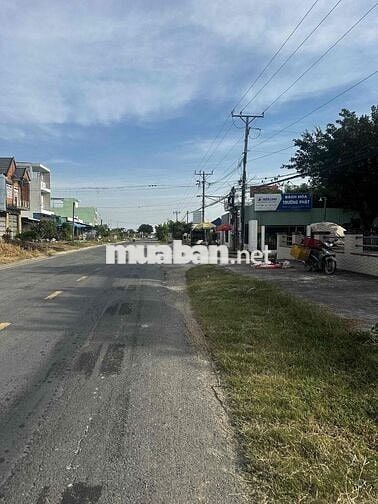 ĐẤT THO GIÁ RẺ VÀNH ĐAI LỢI BINH NHON