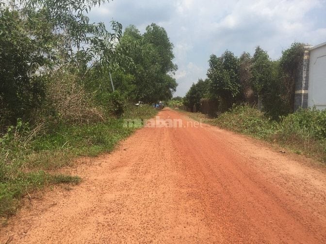 Chính chủ cần bán thửa đất tại phường Phú an, TPHCM