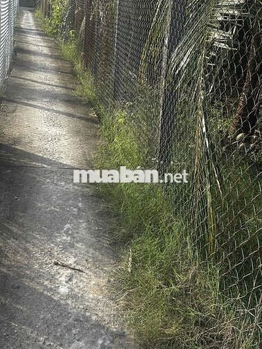 ĐẤT THO GIÁ RẺ VÀNH ĐAI LỢI BINH NHON