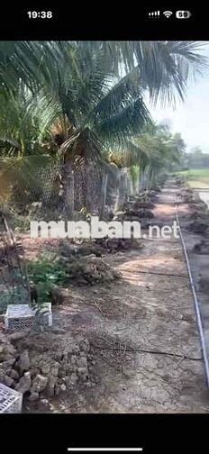 ĐẤT THO GIÁ RẺ VÀNH ĐAI LỢI BINH NHON