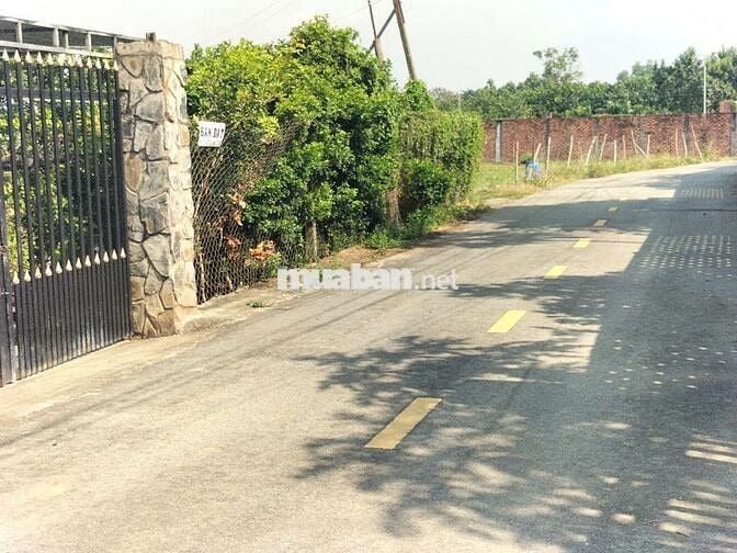 Loaloa rẻ nhất bạch đằng 3,6t/m2 có tới 30m mặt tiền nhựa lớn nhanh ạ