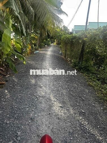 ĐẤT THO GIÁ RẺ VÀNH ĐAI LỢI BINH NHON