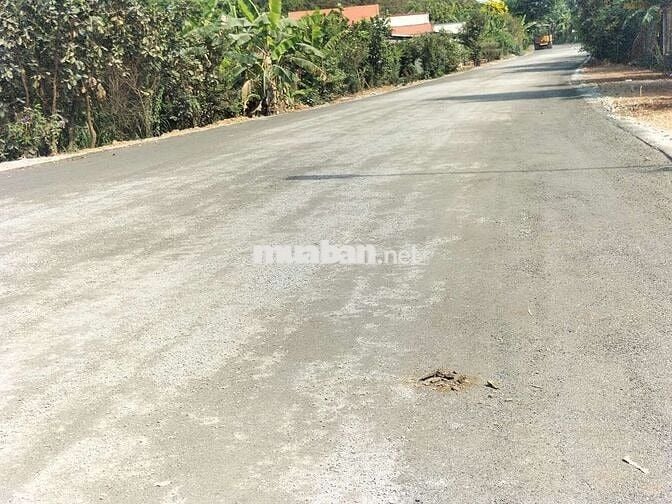 Loaloa rẻ nhất bạch đằng 3,6t/m2 có tới 30m mặt tiền nhựa lớn nhanh ạ