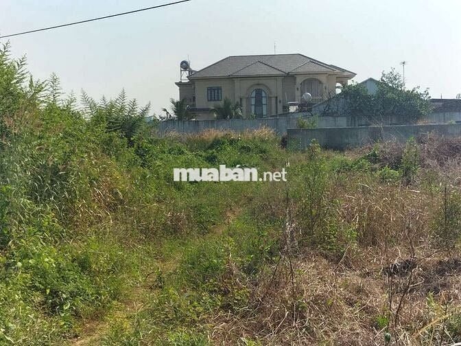 Loaloa rẻ nhất bạch đằng 3,6t/m2 có tới 30m mặt tiền nhựa lớn nhanh ạ