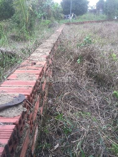 Chính chủ cần bán thửa đất tại phường Phú an, TPHCM