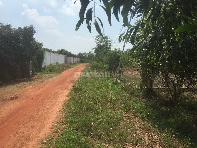 Chính chủ cần bán thửa đất tại phường Phú an, TPHCM