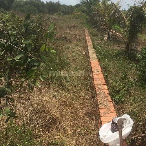 Chính chủ cần bán thửa đất tại phường Phú an, TPHCM