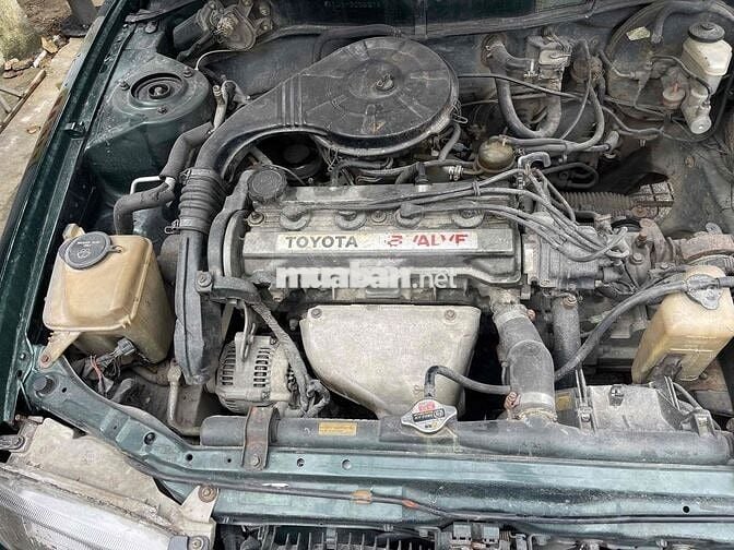 Toyota Corolla Xanh lá cây