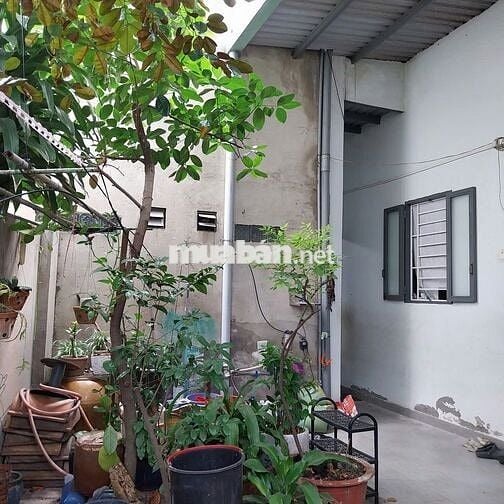 Bán nhà riêng tại đường Bình Đông, Phường 14, Quận 8, Hồ Chí Minh